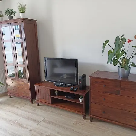 Kwiatowy Klimatyzowany Apartment
