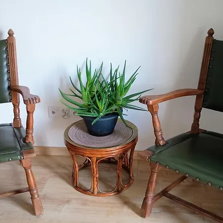 Kwiatowy Klimatyzowany Apartman *