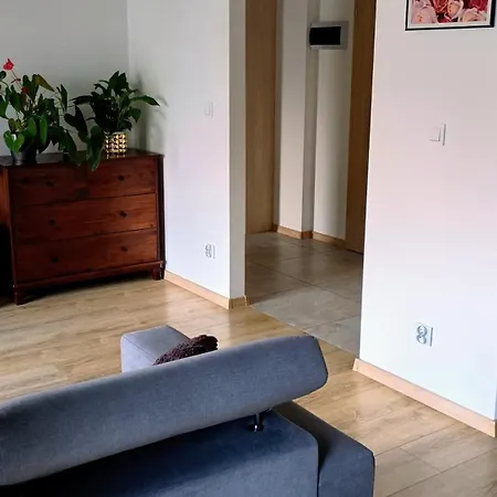 Apartment Kwiatowy Klimatyzowany Lubin (Lower Silesia)