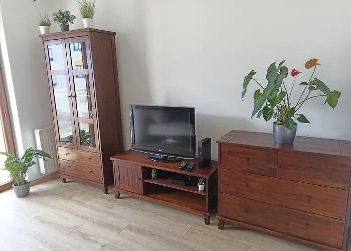 Kwiatowy Klimatyzowany Lejlighed