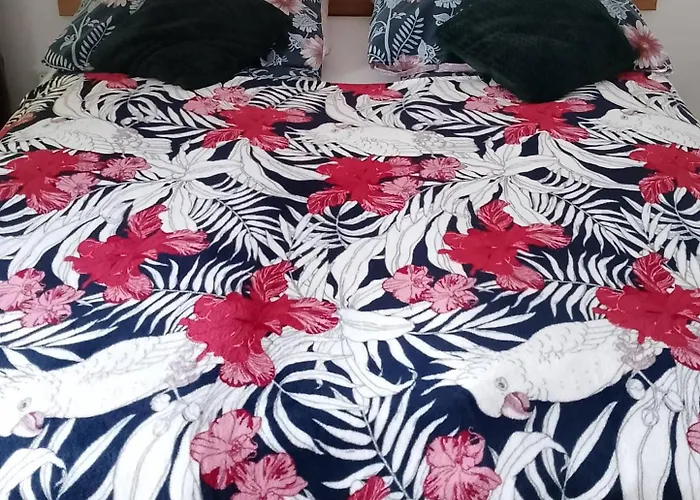 Kwiatowy Klimatyzowany *