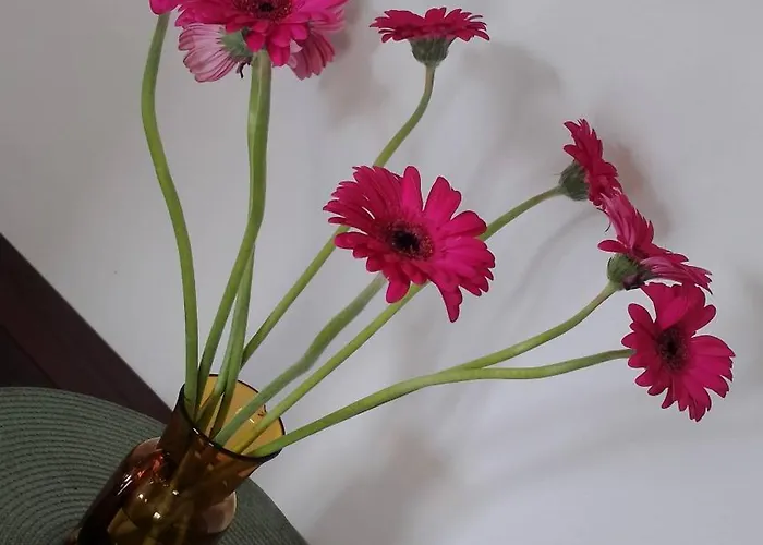 Kwiatowy Klimatyzowany Lubiń