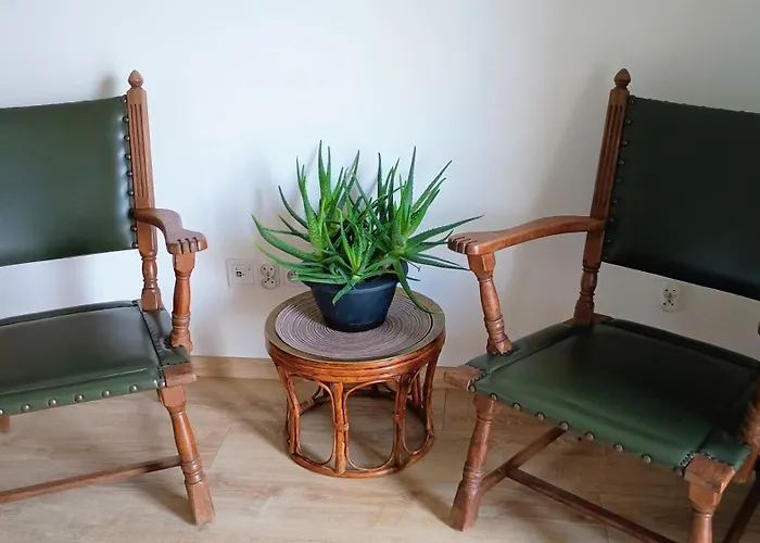 Kwiatowy Klimatyzowany Apartament *