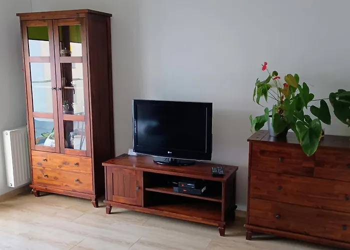 Kwiatowy Klimatyzowany Apartament Lubiń