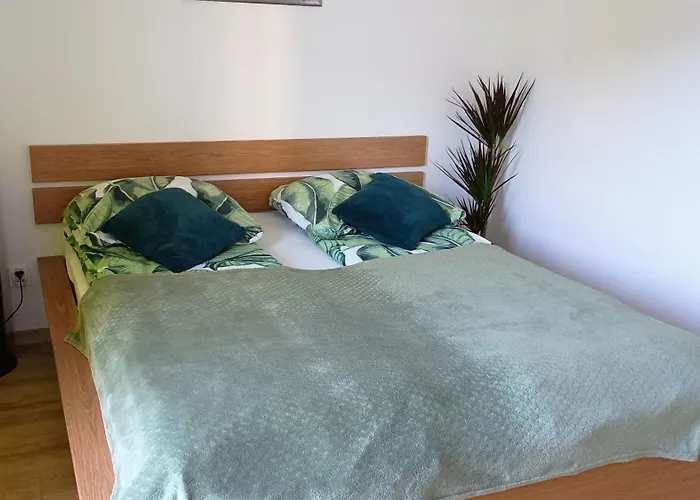 Kwiatowy Klimatyzowany * Lubiń