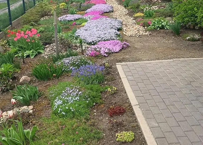 Kwiatowy Klimatyzowany * Lubiń